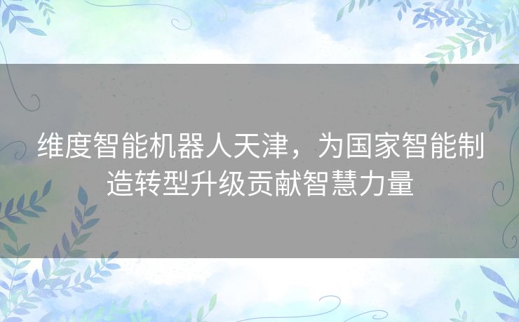 维度智能机器人天津,为国家智能制造转型升级贡献智慧力量 维度智能机器人天津,为国家智能制造转型升级贡献智慧力量