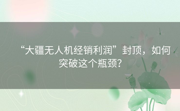 “大疆无人机经销利润”封顶,如何突破这个瓶颈? “大疆无人机经销利润”封顶,如何突破这个瓶颈?