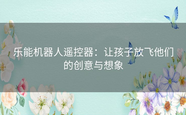 乐能机器人遥控器:让孩子放飞他们的创意与想象 乐能机器人遥控器:让孩子放飞他们的创意与想象