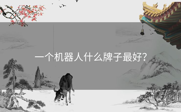 一个机器人什么牌子最好? 一个机器人什么牌子最好?