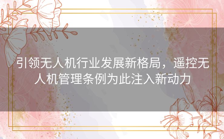 引领无人机行业发展新格局,遥控无人机管理条例为此注入新动力 引领无人机行业发展新格局,遥控无人机管理条例为此注入新动力