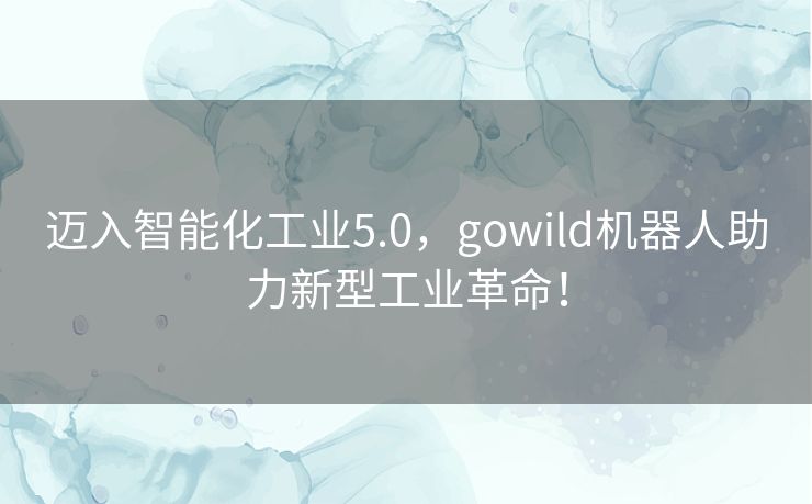迈入智能化工业5.0，gowild机器人助力新型工业革命！