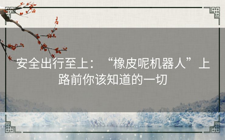 安全出行至上:“橡皮呢机器人”上路前你该知道的一切 安全出行至上:“橡皮呢机器人”上路前你该知道的一切