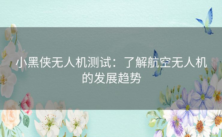 小黑侠无人机测试:了解航空无人机的发展趋势 小黑侠无人机测试:了解航空无人机的发展趋势