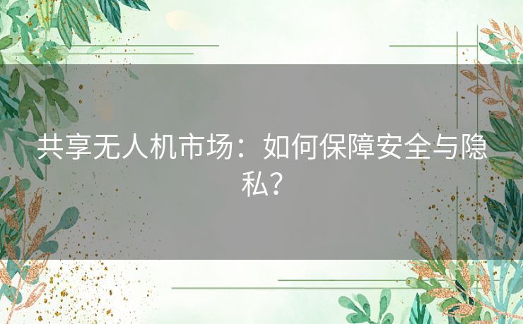 共享无人机市场:如何保障安全与隐私? 共享无人机市场:如何保障安全与隐私?