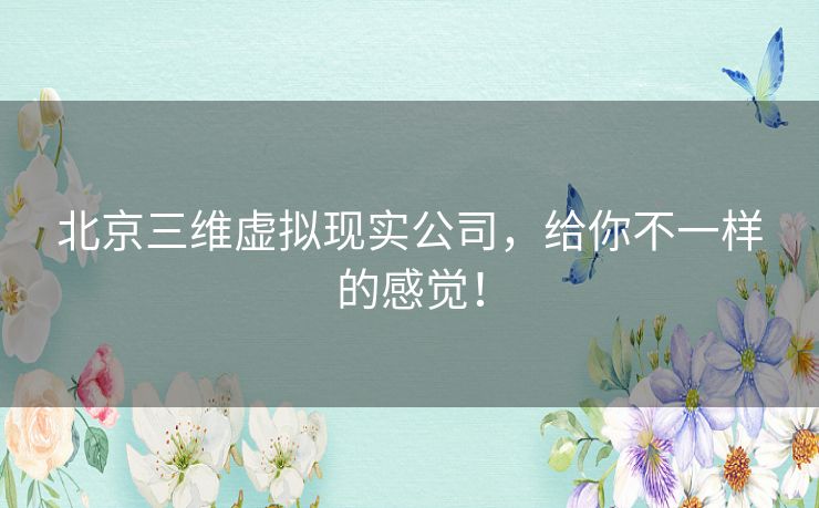 北京三维虚拟现实公司,给你不一样的感觉! 北京三维虚拟现实公司,给你不一样的感觉!