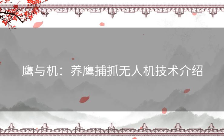 鹰与机:养鹰捕抓无人机技术介绍 鹰与机:养鹰捕抓无人机技术介绍