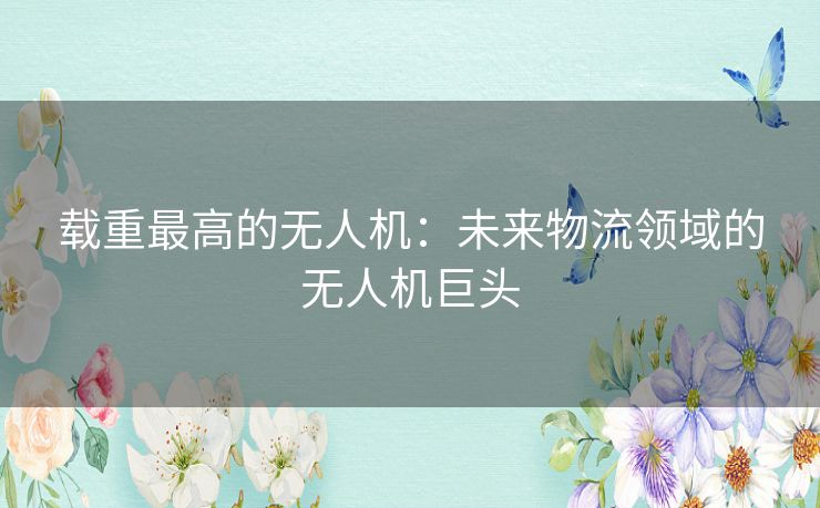 载重最高的无人机:未来物流领域的无人机巨头 载重最高的无人机:未来物流领域的无人机巨头