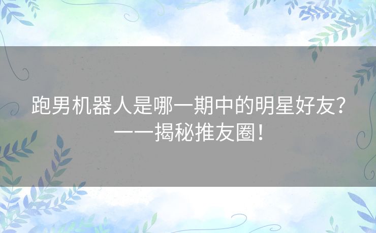 跑男机器人是哪一期中的明星好友?一一揭秘推友圈! 跑男机器人是哪一期中的明星好友?一一揭秘推友圈!