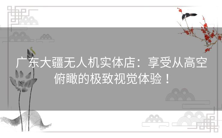 广东大疆无人机实体店:享受从高空俯瞰的极致视觉体验 ! 广东大疆无人机实体店:享受从高空俯瞰的极致视觉体验 !