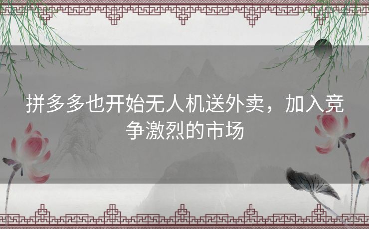 拼多多也开始无人机送外卖,加入竞争激烈的市场 拼多多也开始无人机送外卖,加入竞争激烈的市场
