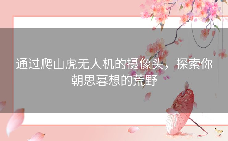 通过爬山虎无人机的摄像头,探索你朝思暮想的荒野 通过爬山虎无人机的摄像头,探索你朝思暮想的荒野