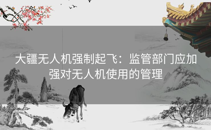 大疆无人机强制起飞:监管部门应加强对无人机使用的管理 大疆无人机强制起飞:监管部门应加强对无人机使用的管理