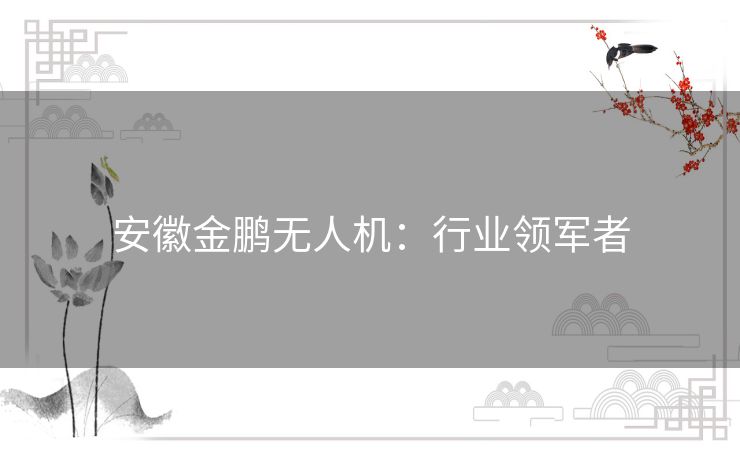 安徽金鹏无人机:行业领军者 安徽金鹏无人机:行业领军者