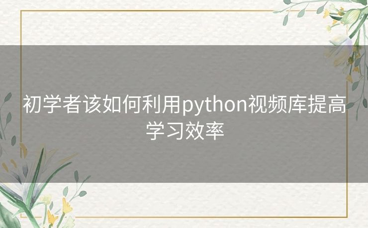 初学者该如何利用python视频库提高学习效率 初学者该如何利用python视频库提高学习效率
