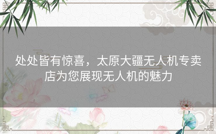 处处皆有惊喜,太原大疆无人机专卖店为您展现无人机的魅力 处处皆有惊喜,太原大疆无人机专卖店为您展现无人机的魅力