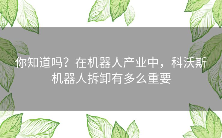 你知道吗?在机器人产业中,科沃斯机器人拆卸有多么重要 你知道吗?在机器人产业中,科沃斯机器人拆卸有多么重要