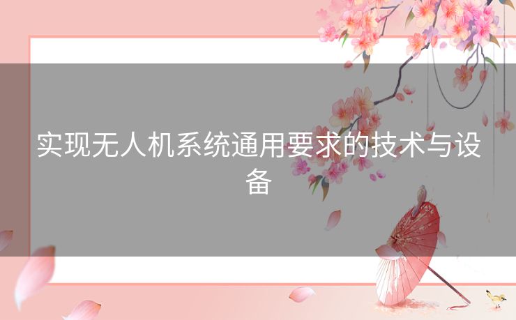 实现无人机系统通用要求的技术与设备 实现无人机系统通用要求的技术与设备