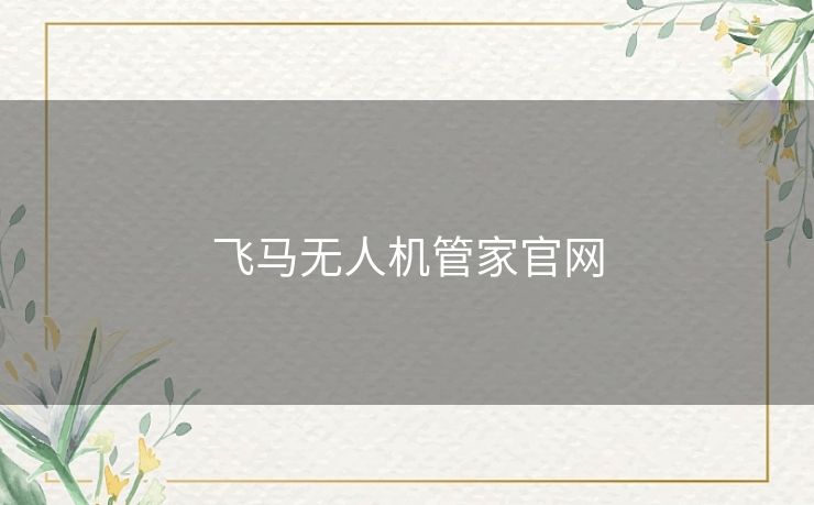 飞马无人机管家官网