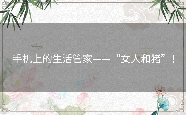 手机上的生活管家——“女人和猪”! 手机上的生活管家——“女人和猪”!