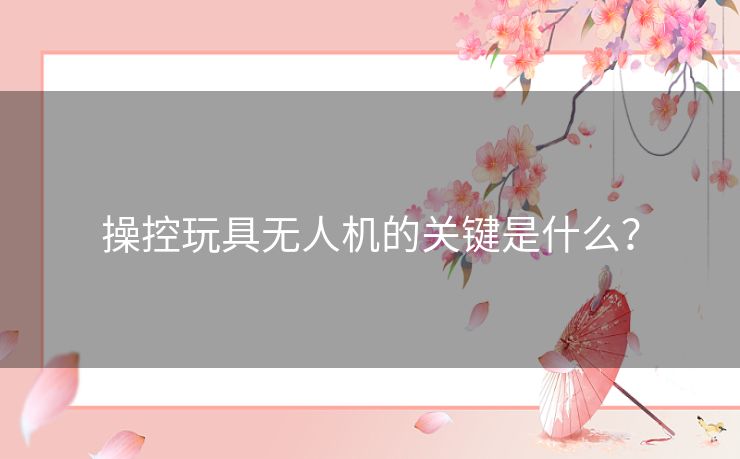 操控玩具无人机的关键是什么? 操控玩具无人机的关键是什么?