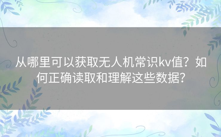 从哪里可以获取无人机常识kv值?如何正确读取和理解这些数据? 从哪里可以获取无人机常识kv值?如何正确读取和理解这些数据?