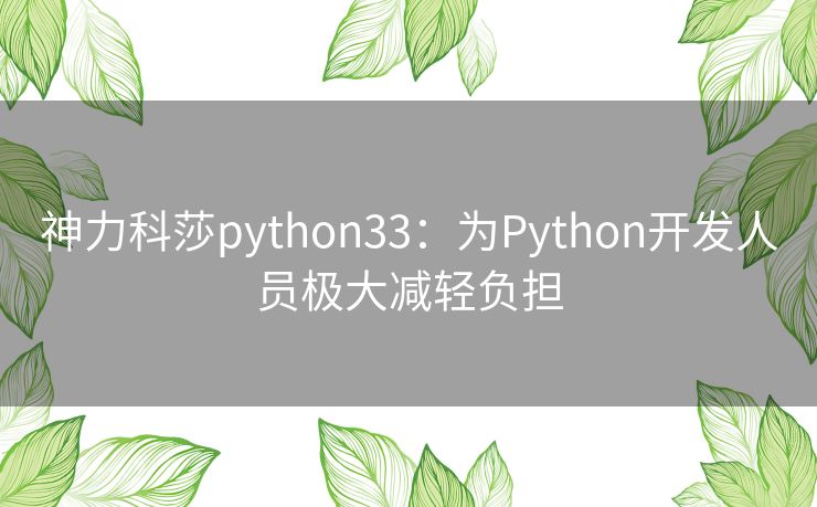 神力科莎python33:为Python开发人员极大减轻负担 神力科莎python33:为Python开发人员极大减轻负担