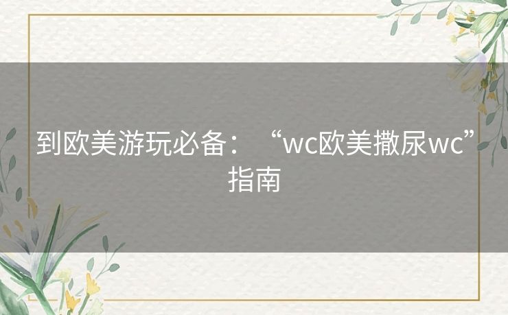 到欧美游玩必备：“wc欧美撒尿wc”指南