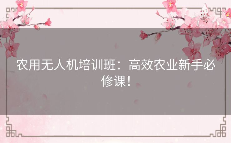 农用无人机培训班:高效农业新手必修课! 农用无人机培训班:高效农业新手必修课!