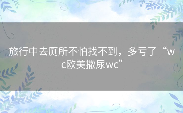 旅行中去厕所不怕找不到,多亏了“wc欧美撒尿wc” 旅行中去厕所不怕找不到,多亏了“wc欧美撒尿wc”