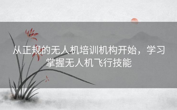 从正规的无人机培训机构开始,学习掌握无人机飞行技能 从正规的无人机培训机构开始,学习掌握无人机飞行技能