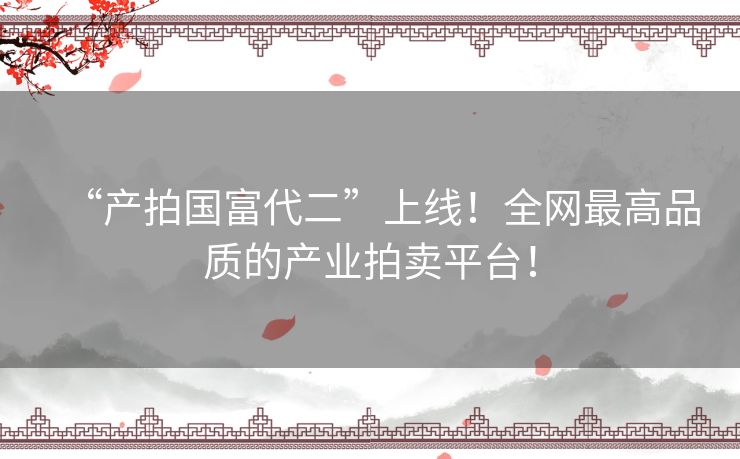 “产拍国富代二”上线!全网最高品质的产业拍卖平台! “产拍国富代二”上线!全网最高品质的产业拍卖平台!