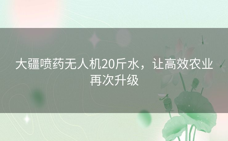 大疆喷药无人机20斤水,让高效农业再次升级 大疆喷药无人机20斤水,让高效农业再次升级