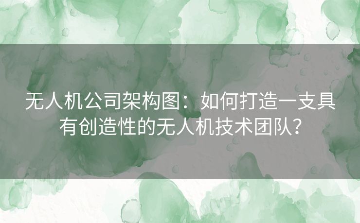 无人机公司架构图:如何打造一支具有创造性的无人机技术团队? 无人机公司架构图:如何打造一支具有创造性的无人机技术团队?