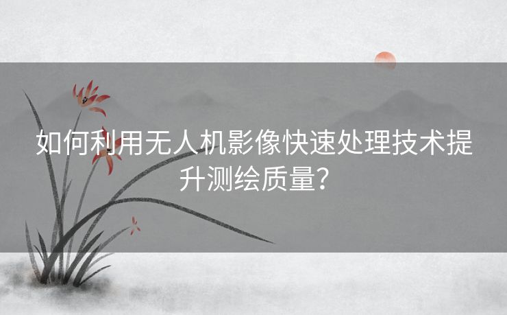 如何利用无人机影像快速处理技术提升测绘质量? 如何利用无人机影像快速处理技术提升测绘质量?