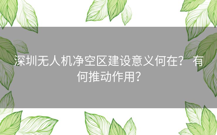 深圳无人机净空区建设意义何在? 有何推动作用? 深圳无人机净空区建设意义何在? 有何推动作用?