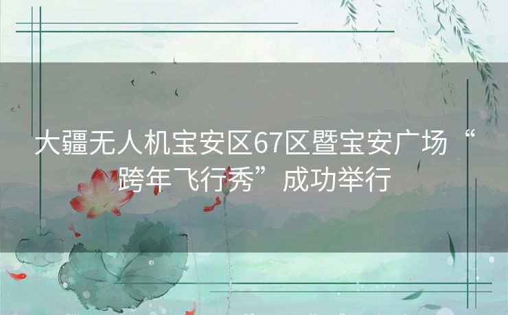 大疆无人机宝安区67区暨宝安广场“跨年飞行秀”成功举行 大疆无人机宝安区67区暨宝安广场“跨年飞行秀”成功举行