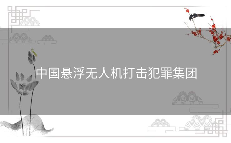 中国悬浮无人机打击犯罪集团