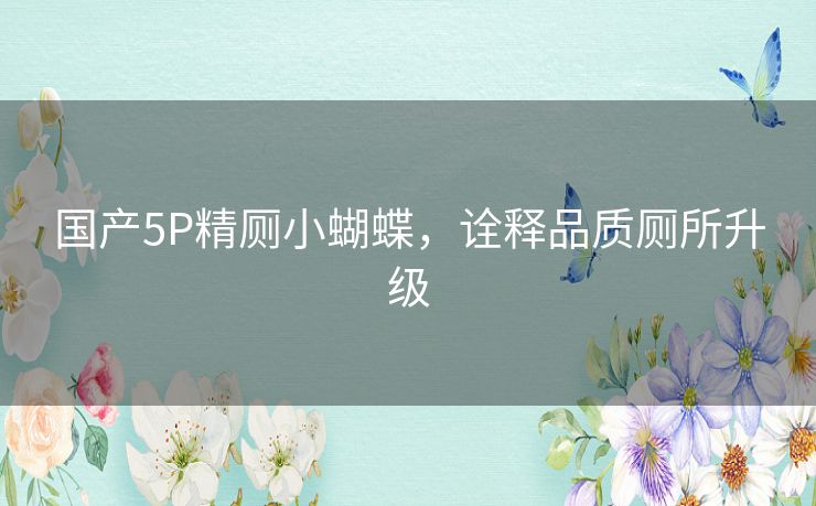 国产5P精厕小蝴蝶，诠释品质厕所升级