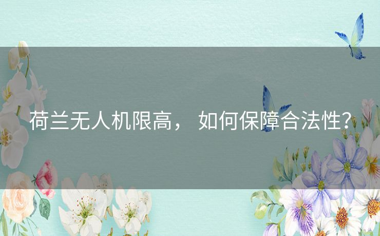 荷兰无人机限高, 如何保障合法性? 荷兰无人机限高, 如何保障合法性?