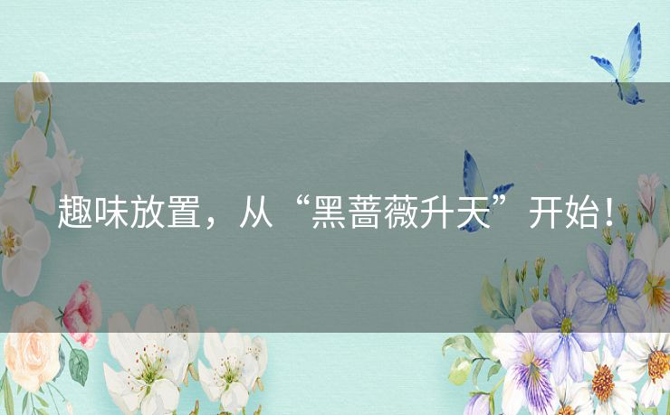 趣味放置,从“黑蔷薇升天”开始! 趣味放置,从“黑蔷薇升天”开始!