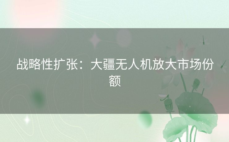战略性扩张:大疆无人机放大市场份额 战略性扩张:大疆无人机放大市场份额