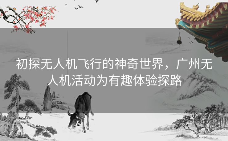 初探无人机飞行的神奇世界,广州无人机活动为有趣体验探路 初探无人机飞行的神奇世界,广州无人机活动为有趣体验探路