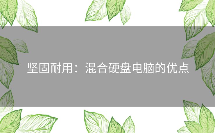 坚固耐用:混合硬盘电脑的优点 坚固耐用:混合硬盘电脑的优点