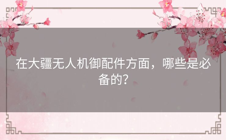 在大疆无人机御配件方面，哪些是必备的？
