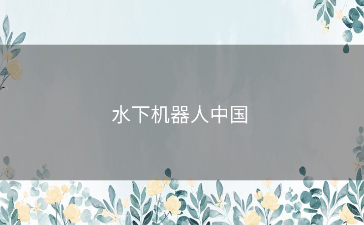 水下机器人中国 