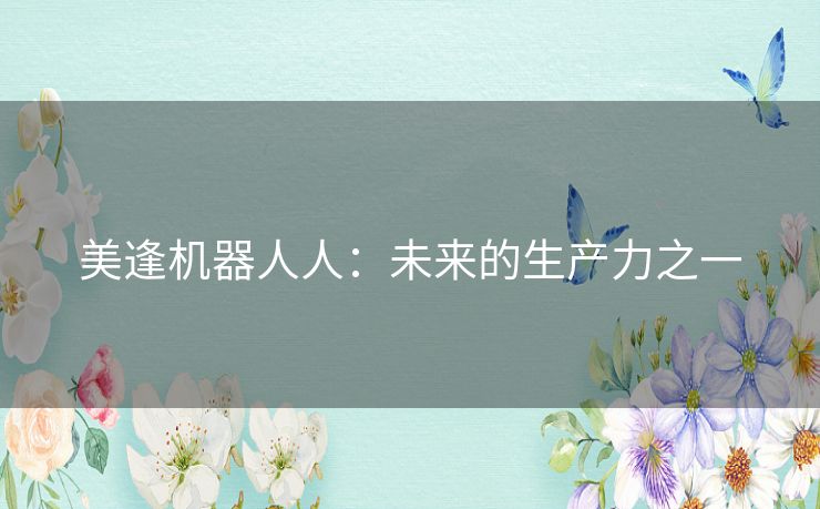 美逢机器人人：未来的生产力之一