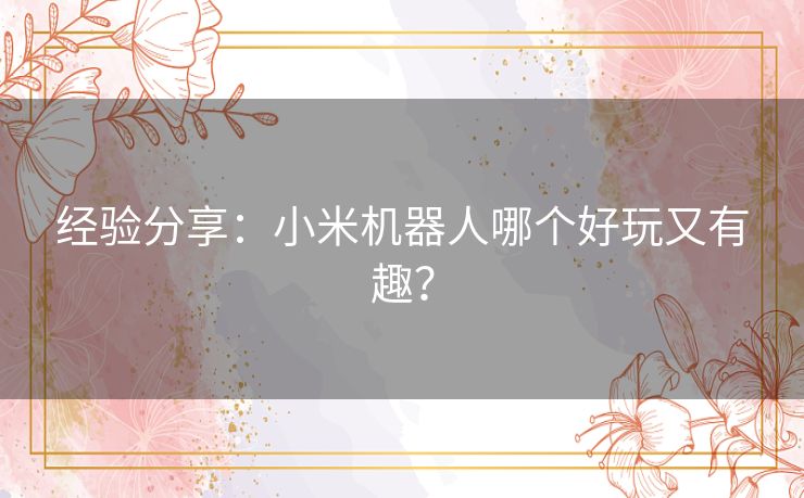 经验分享:小米机器人哪个好玩又有趣? 经验分享:小米机器人哪个好玩又有趣?