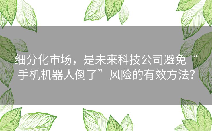 细分化市场,是未来科技公司避免“手机机器人倒了”风险的有效方法? 细分化市场,是未来科技公司避免“手机机器人倒了”风险的有效方法?