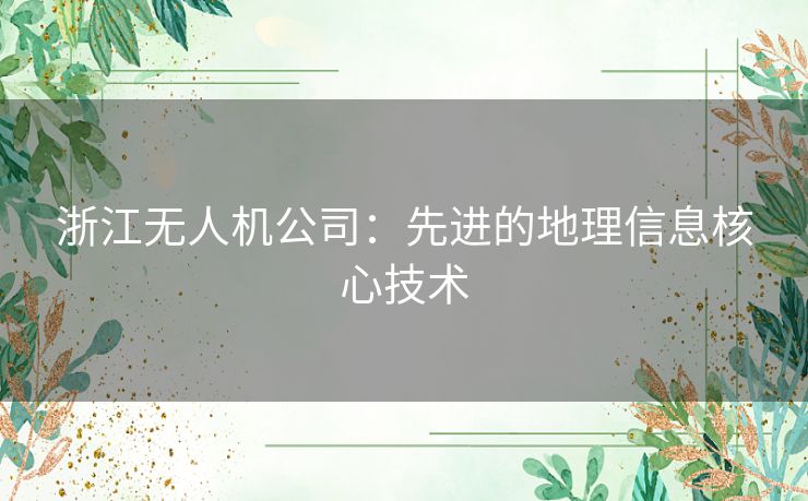浙江无人机公司:先进的地理信息核心技术 浙江无人机公司:先进的地理信息核心技术